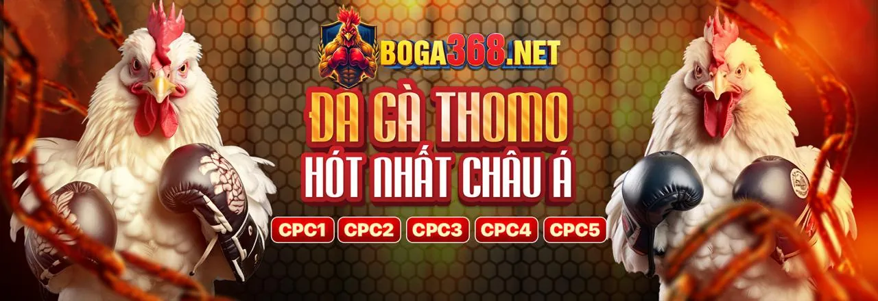 Các Chương Trình Khuyến Mãi Mới Nhất tại 100win