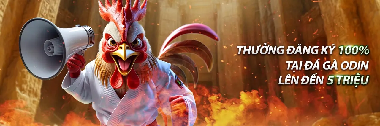 Hình ảnh chính Blog 100win 2026